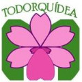 Visitar Todorquidea